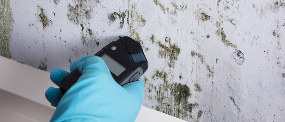 Mold Testing in Home